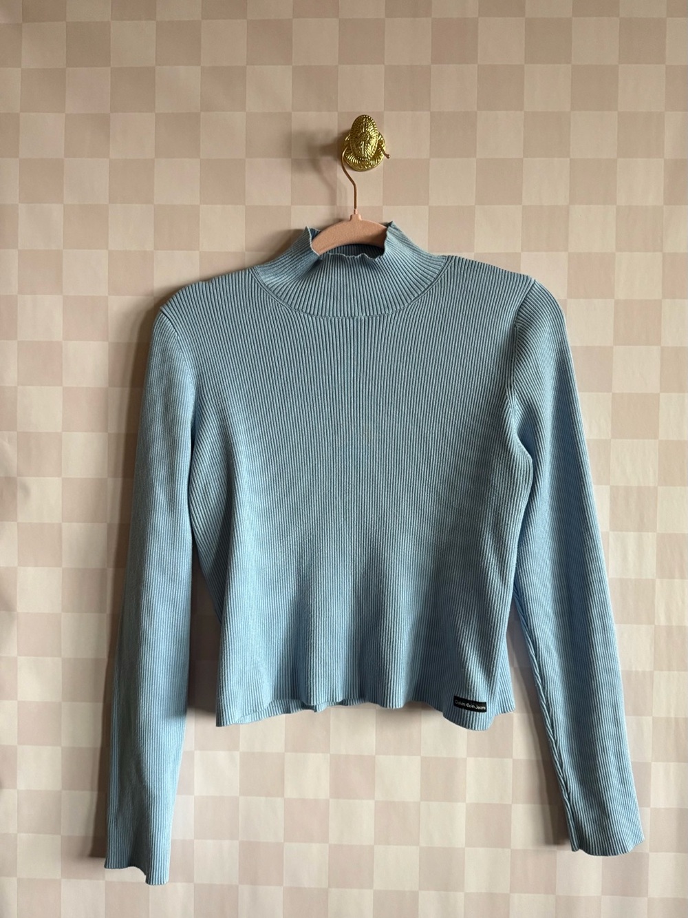 🧶🦊🍄🍁🍂🌻🌞
Light Blue Ribbed Mock Neck Sweater